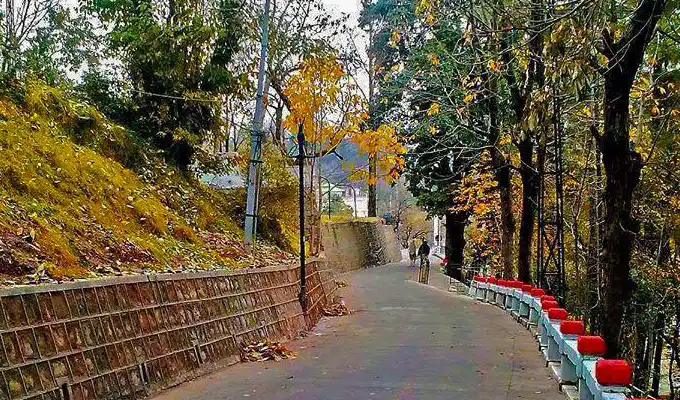 Nathia gali road