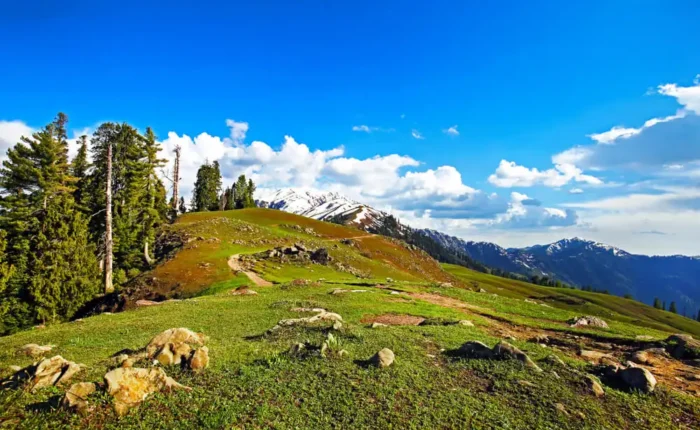 Shogran