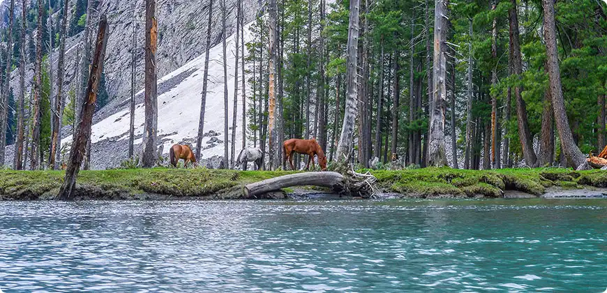 mahodand lake weather​